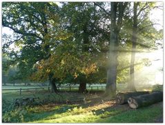 Herbstbild