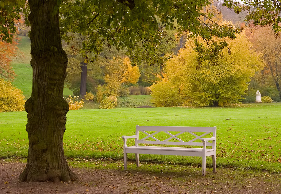 Herbstbild