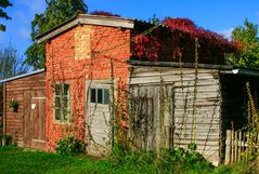 Herbstbild