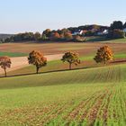 Herbstbild...