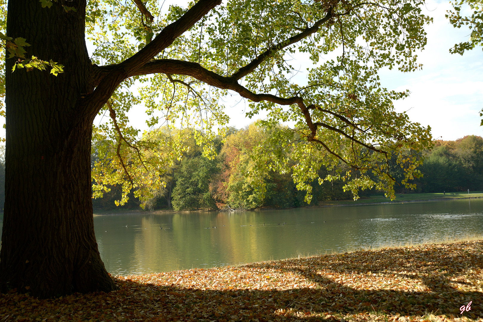 Herbstbild