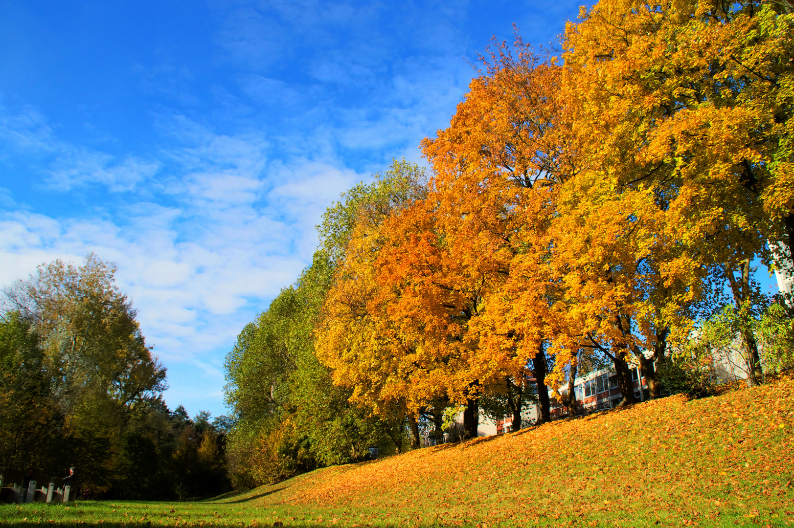 Herbstbild Farbenspiel Nürnberg Prinzregentenufer