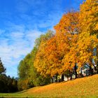 Herbstbild Farbenspiel Nürnberg Prinzregentenufer