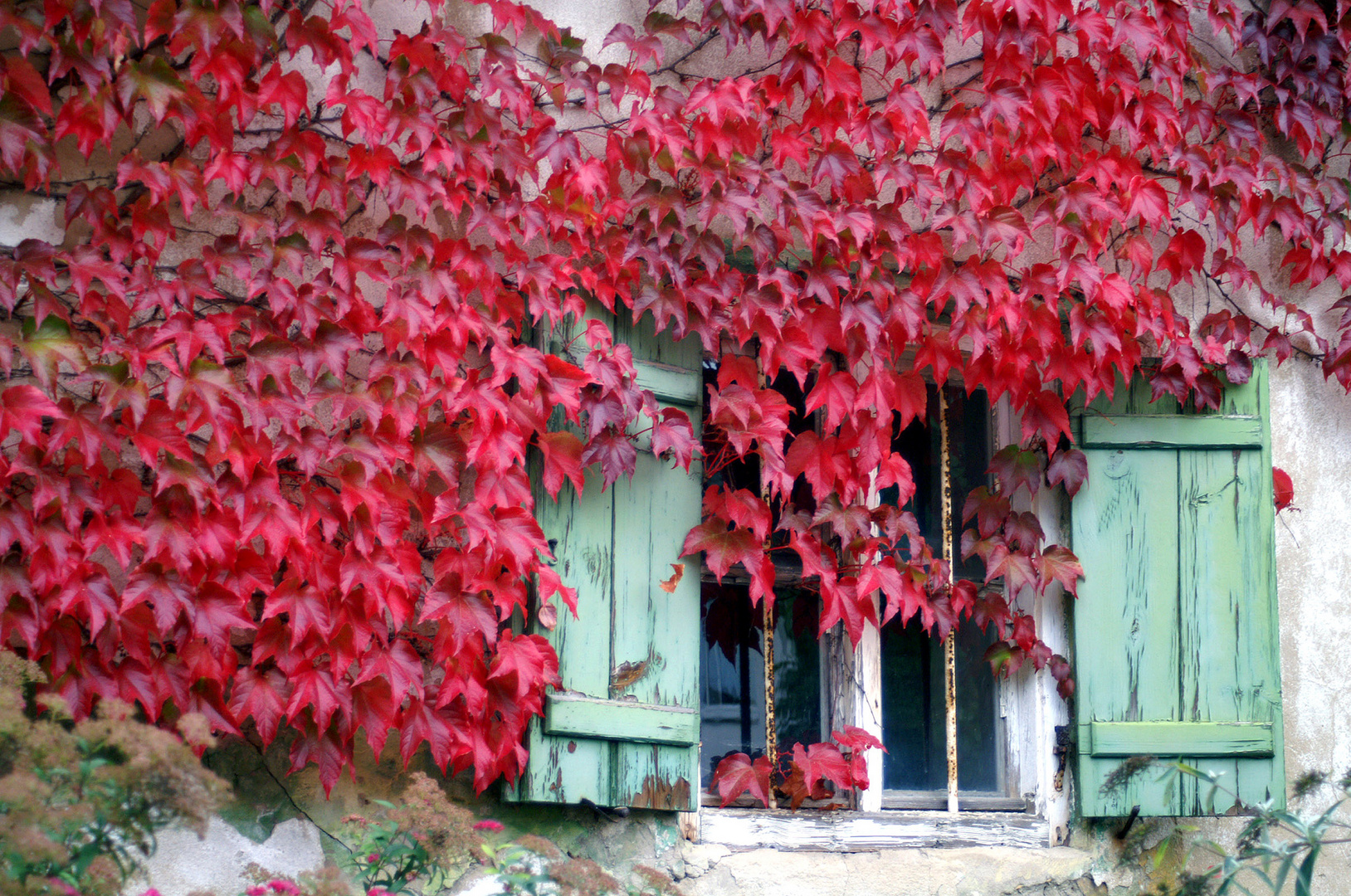 Herbstbild mit Fenster
