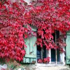 Herbstbild mit Fenster