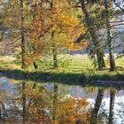 Herbstbild mit Spiegelung