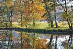 Herbstbild mit Spiegelung