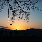 Herbstbild mit Wechsel von der goldenen zu blauen Stunde