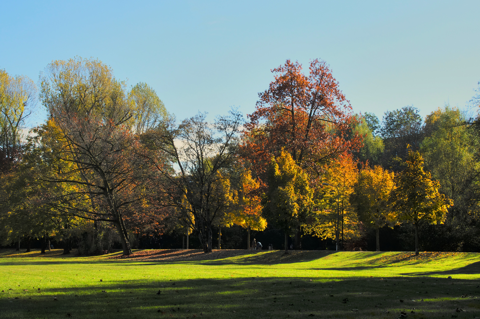 Herbstbild Nürnberg Wöhrder Wiese