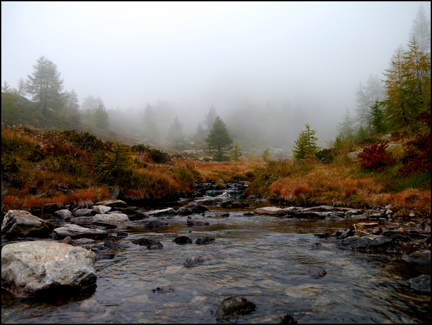 Herbstbild Strada Alta