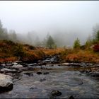 Herbstbild Strada Alta