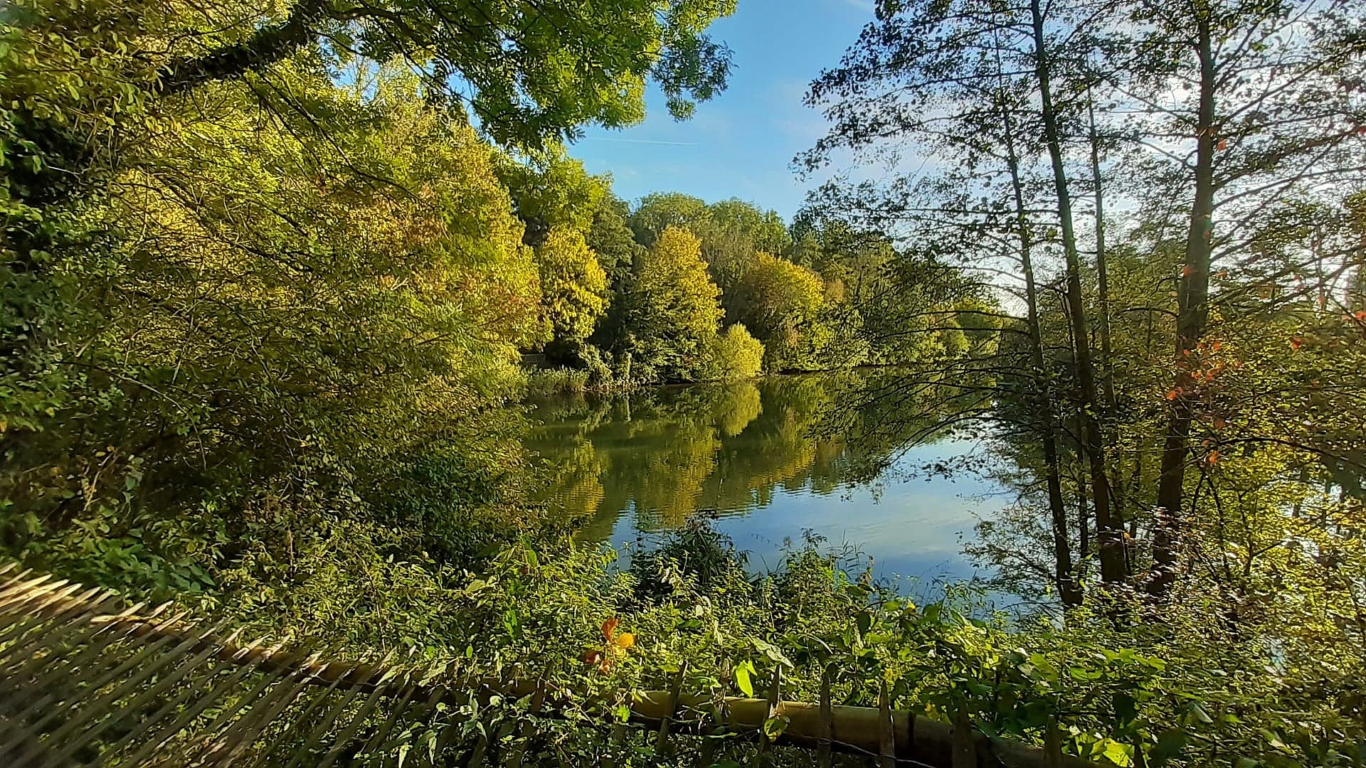 Herbstbild, Weiher in Singen D.