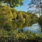 Herbstbild, Weiher in Singen D.