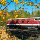 Herbstbildchen von 118 578 im TEV Weimar 