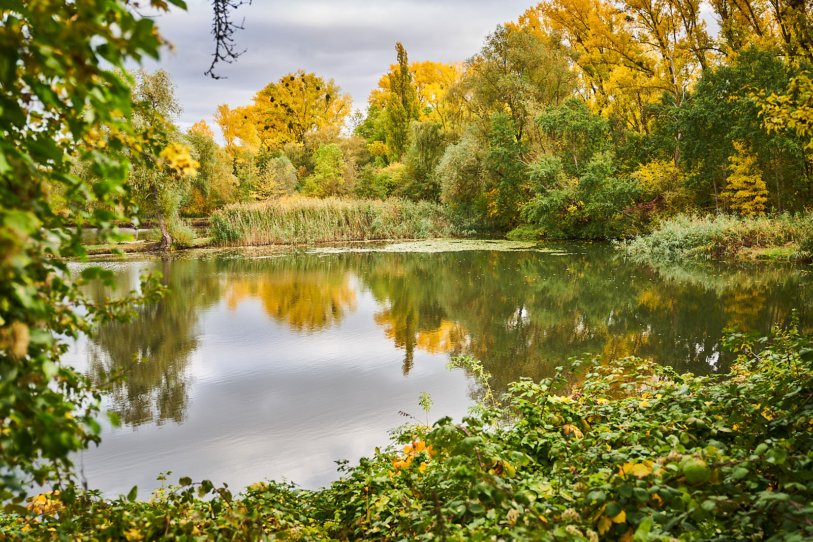 Herbstbilder 13_1600px