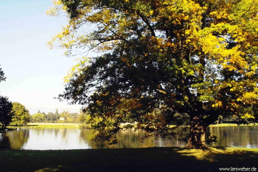 Herbstbilder aus dem Wörlitzer Gartenreich bei Dessau-Rosslau