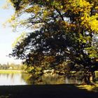 Herbstbilder aus dem Wörlitzer Gartenreich bei Dessau-Rosslau