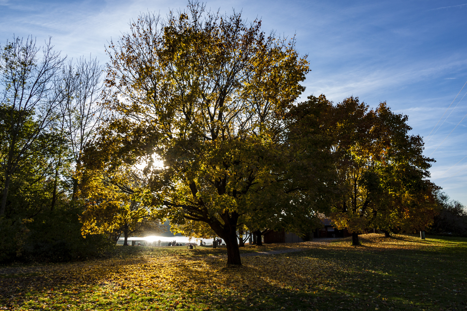 Herbstbilder