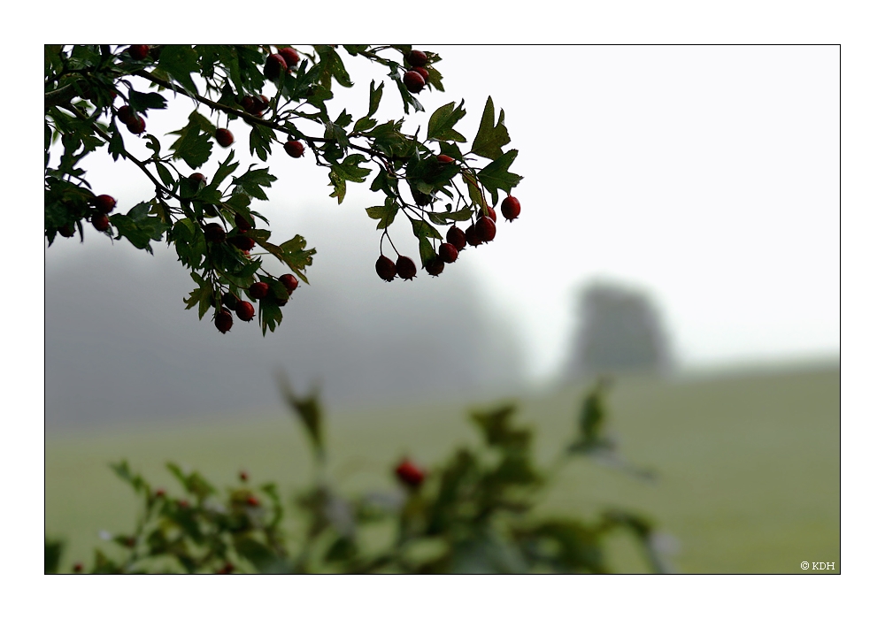 Herbstbilder VI