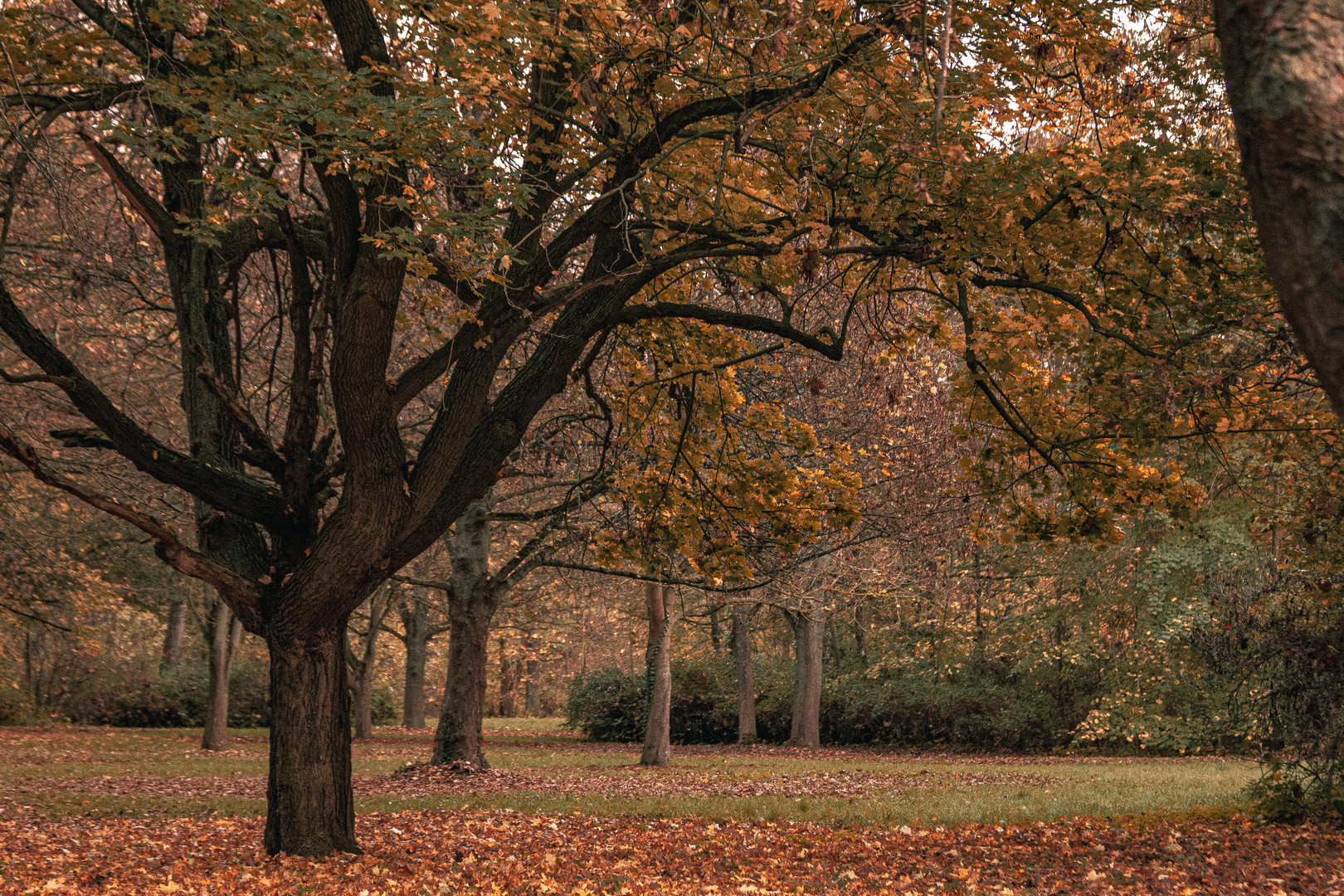 Herbstbildreihe