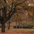 Herbstbildreihe