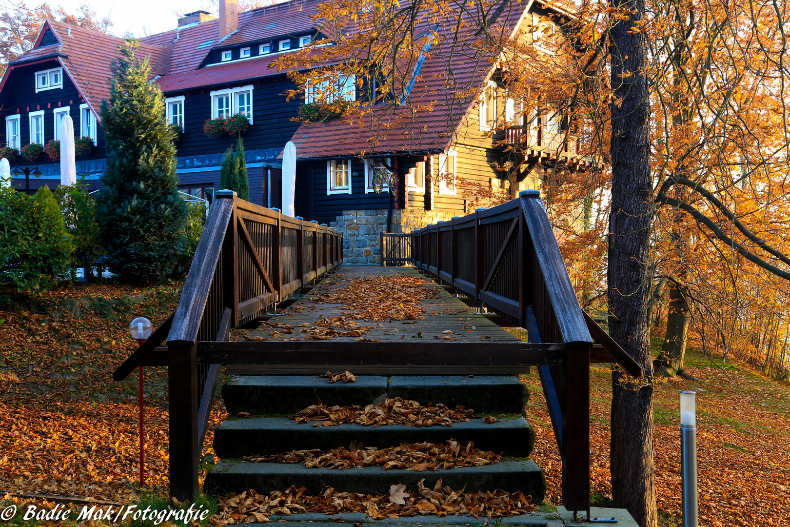 Herbstblätter-3