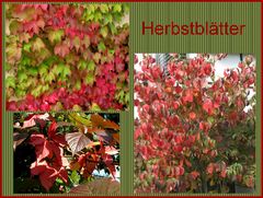 Herbstblätter