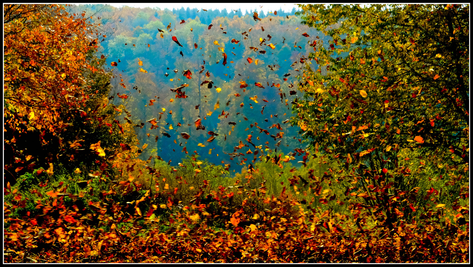 Herbstblätter