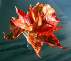 Herbstblätter