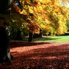 Herbstblätter