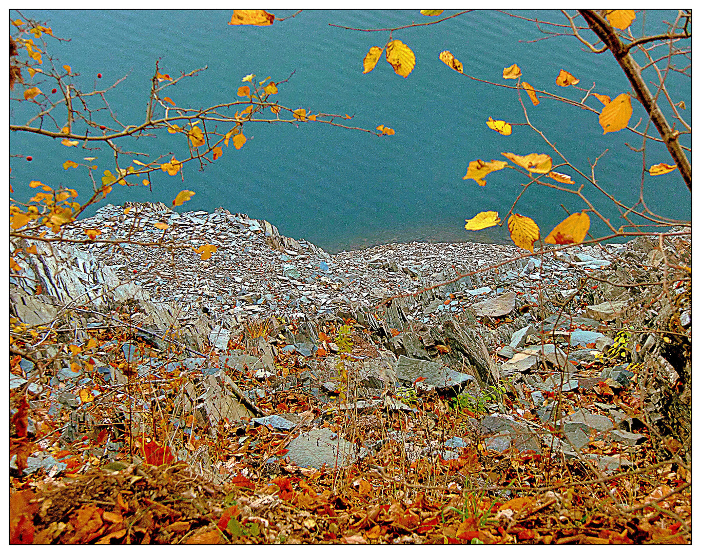 Herbstblätter am Ufer