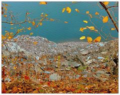 Herbstblätter am Ufer