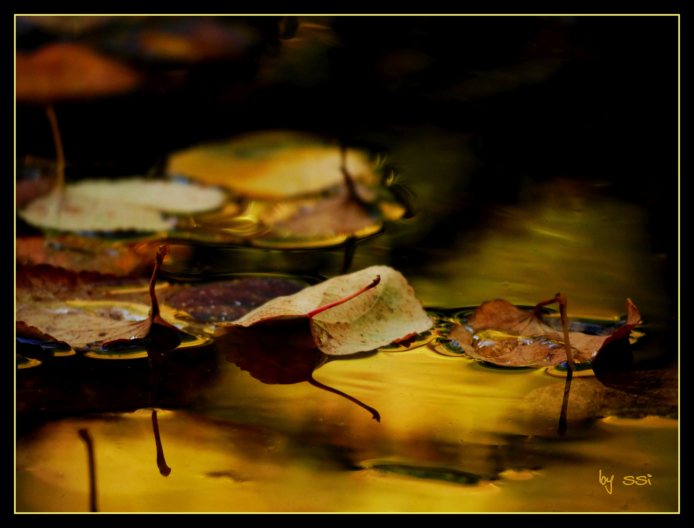 Herbstblätter