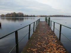 Herbstblätter