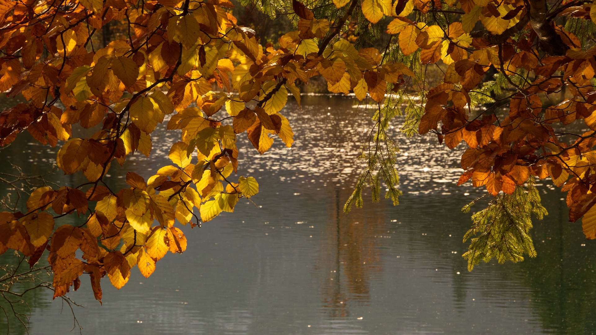 Herbstblätter mit See