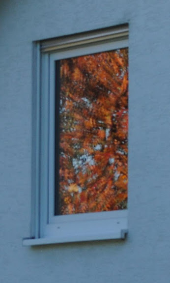 Herbstblätter spiegeln sich verworren in einem Fenster