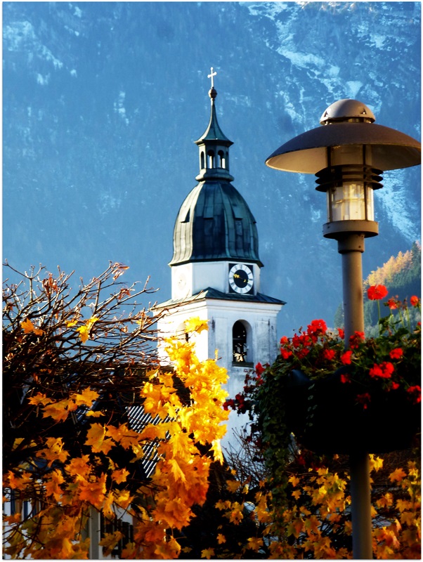 Herbstblätter u.Geranien