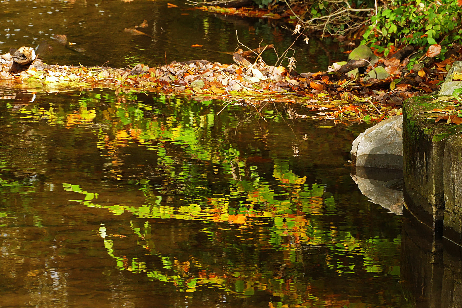 Herbstblätterspiegelung