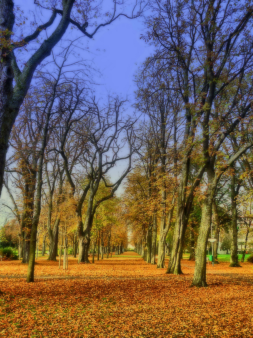 Herbstblätterteppich