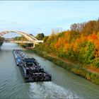 Herbstblätterwald am Mittellandkanal