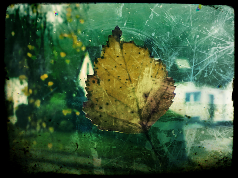 Herbst.Blatt