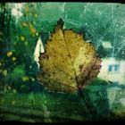 Herbst.Blatt