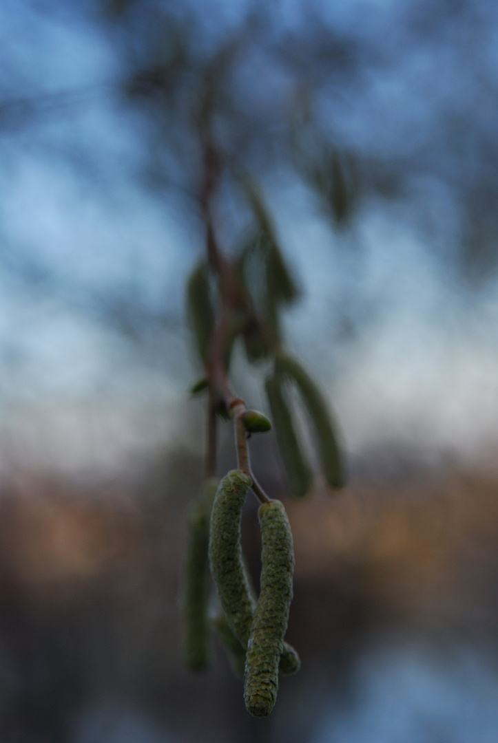 Herbstblau