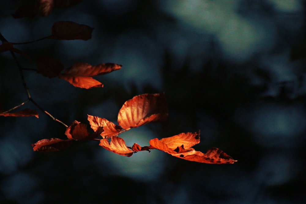 herbst.blau.orange.