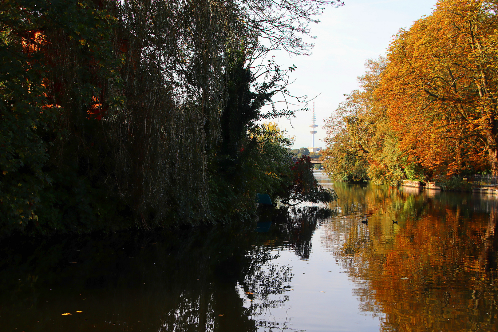 Herbstblick