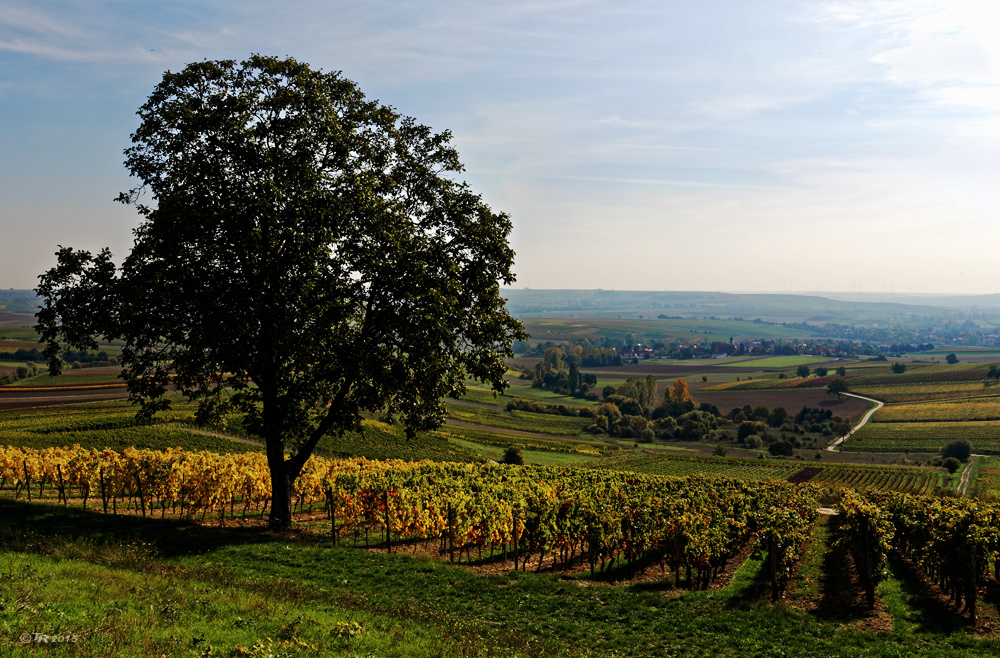 HerbstBlick