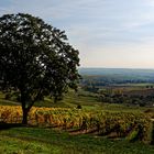 HerbstBlick