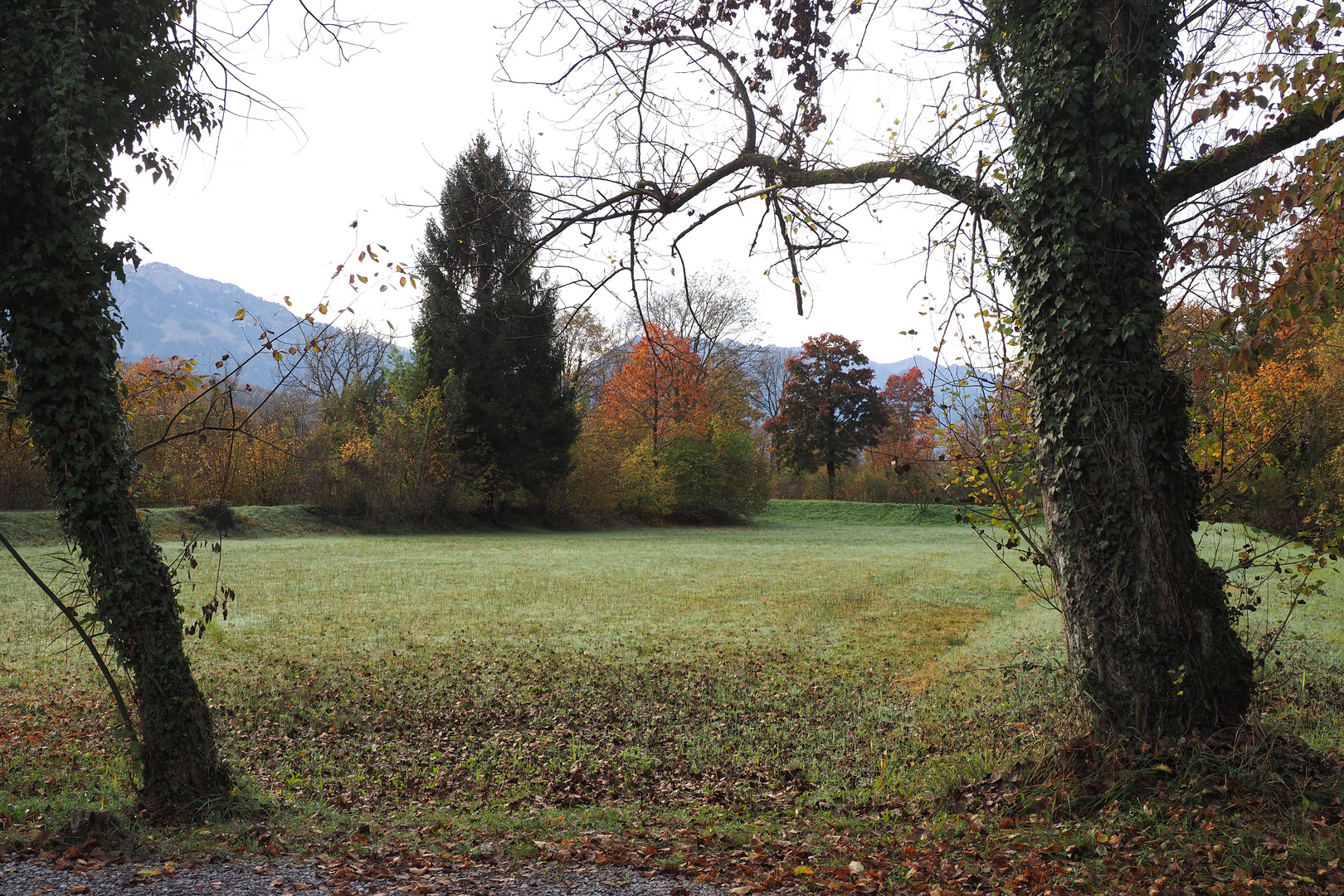 herbstblick