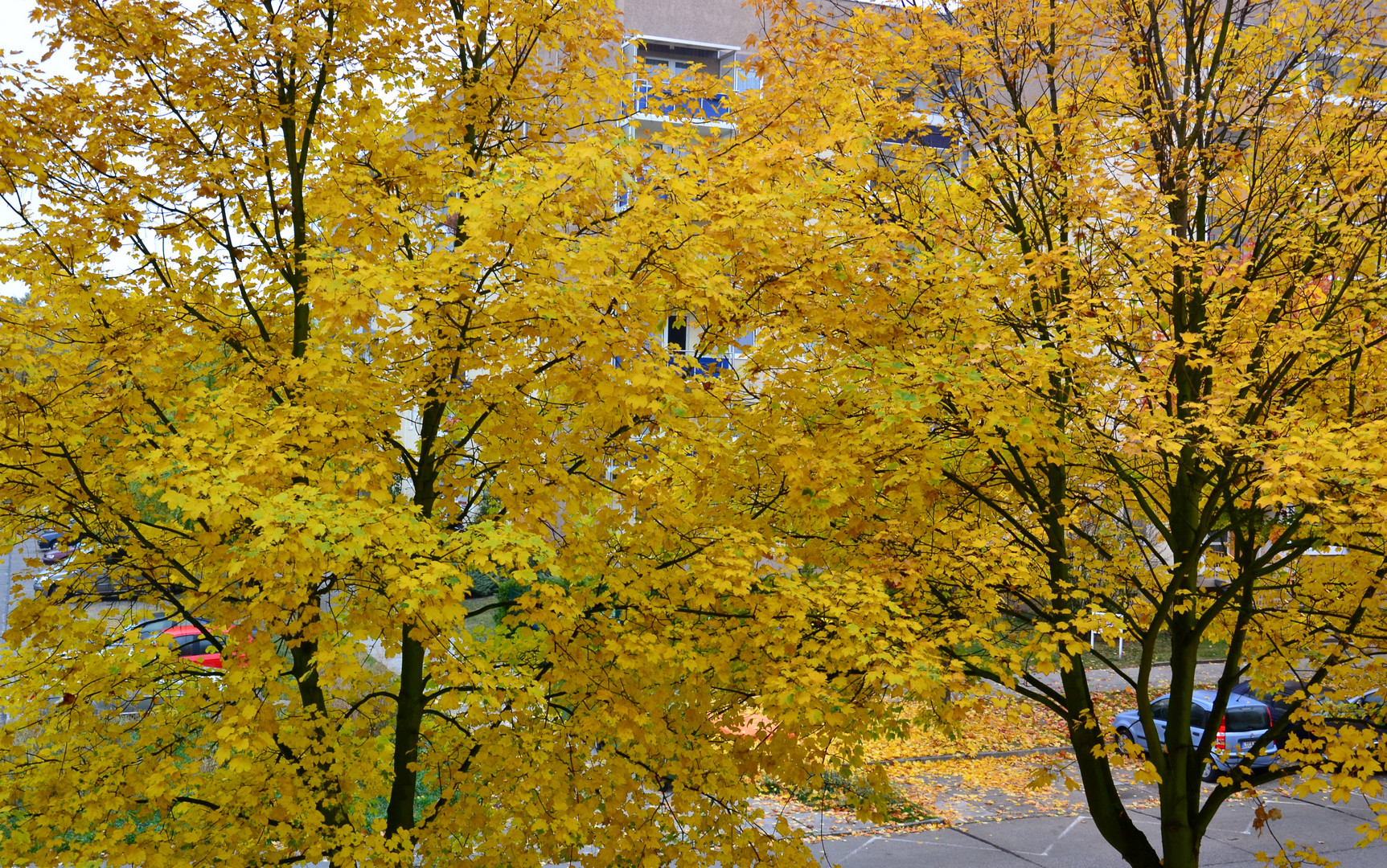 Herbstblick…