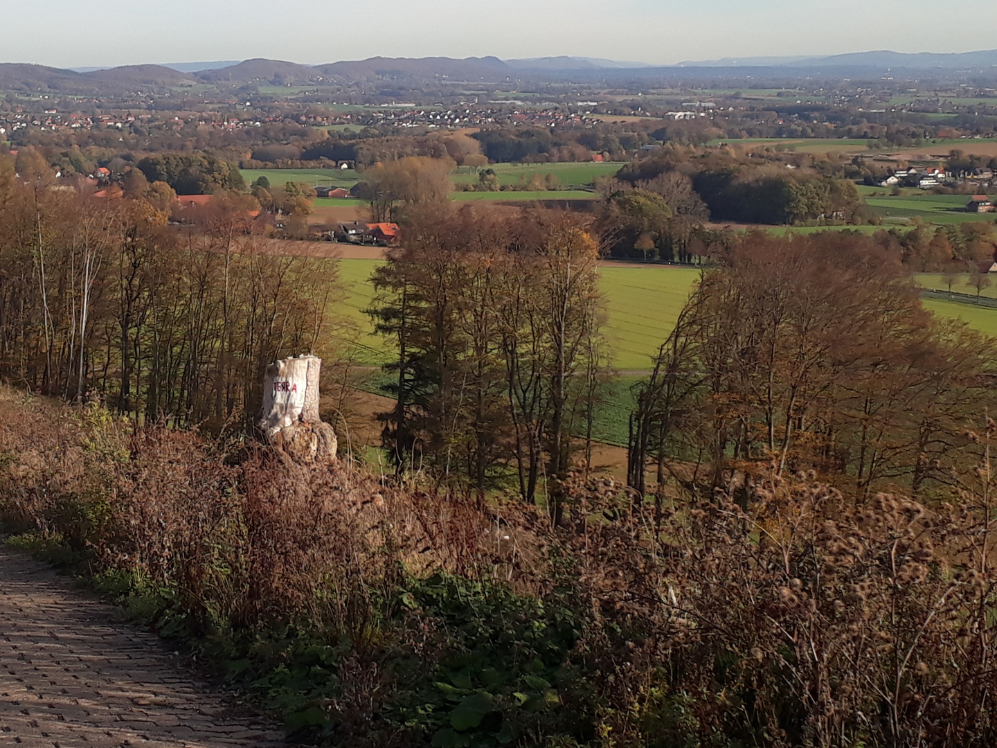 Herbstblick